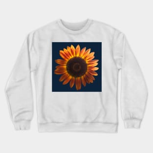 Orange and Blue Crewneck Sweatshirt